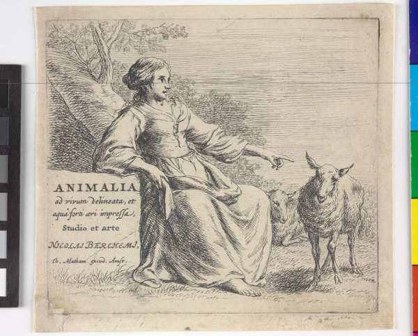 Animalia title-page