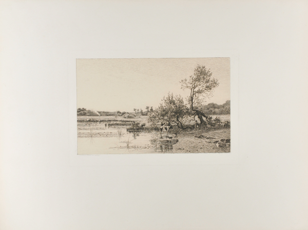 Cows on the Bank of a River - Image 2