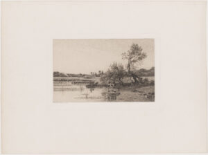 Cows on the Bank of a River