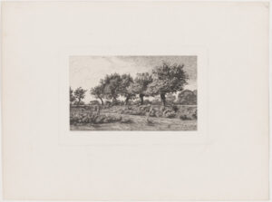 Road through an Apple Orchard