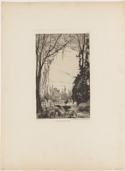 Etude à Ville D'Avray