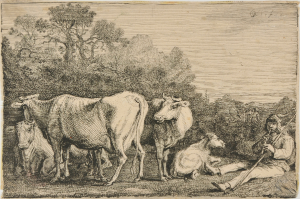 The Cow Herd
