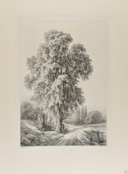 Orme Etude - Image 2