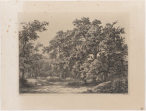 Les Chênes (The Oaks)