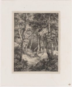 Le Chemin dans les borileaux (The road through the birches)