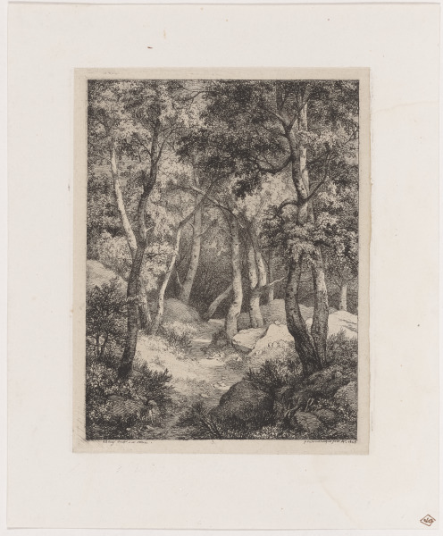 Le Chemin dans les borileaux (The road through the birches)