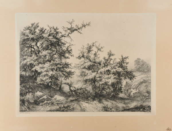 Les Buissons d’ epine (The Scrub pines) - Image 2