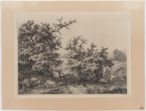 Les Buissons d’ epine (The Scrub pines)