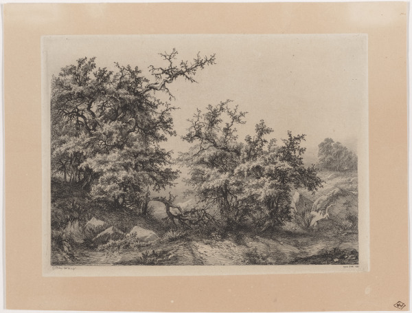 Les Buissons d' epine (The Scrub pines)