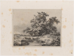 Le Chè ne à la mare (The oak by the pond)