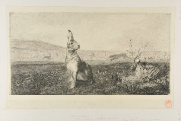 Le Lievre (The Rabbit) - Image 1