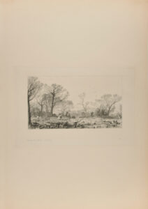 Clearing the Wood, Beesfield