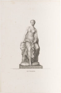 Euterpe