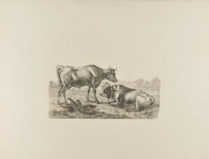 Landscape with a Cow and Resting Steer