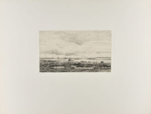 Pond at Lacanau, France