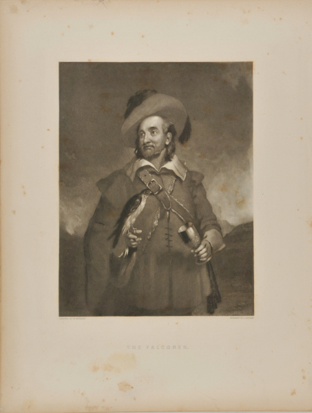 The Falconer