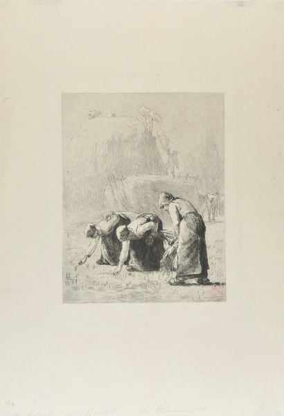 The Gleaners - Image 2