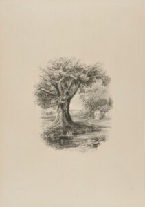 Landscape with Large Oak by a Stream