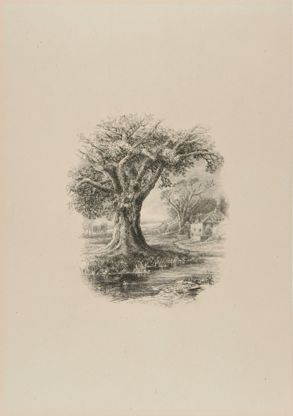 Landscape with Large Oak by a Stream