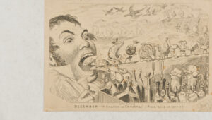 December – A Swallow at Christmas (Rara avis in terris)