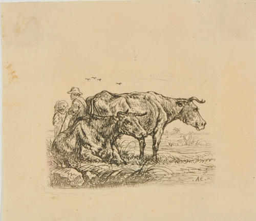 Two Cows, One Standing Behind Another Lying Down