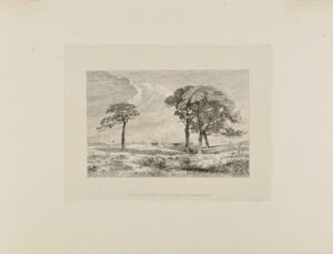 Landscape with Horses Drawing a Wagon