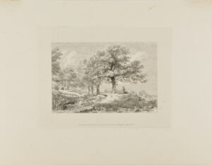 Man and Dog Sitting Under a Tree