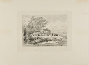 Boy and Dog with Sheep, Resting by a Pond