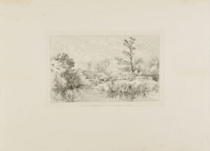 Reeds Growing By the Water, Wooden Bridge in Background