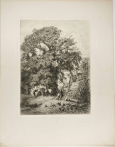 Barn Yard with Large Tree