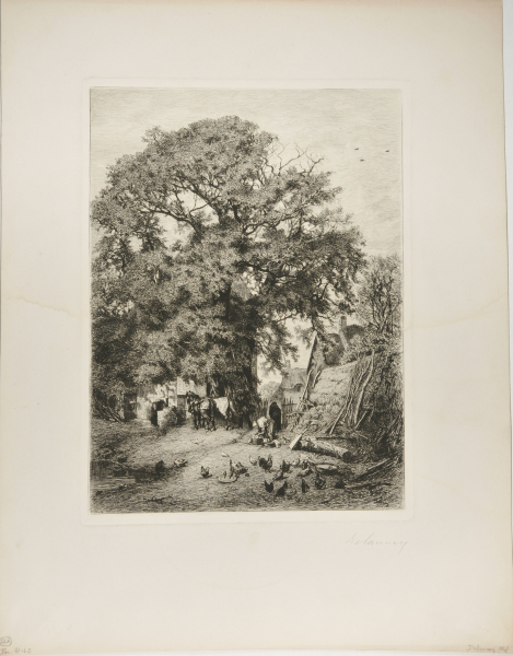 BARN YARD WITH LARGE TREE