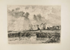 Horses Grazing Near Marsh