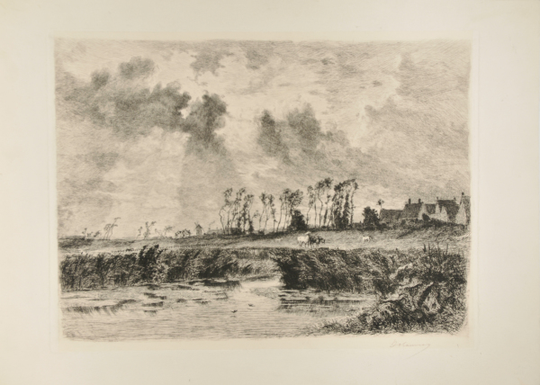 HORSES GRAZING NEAR MARSH