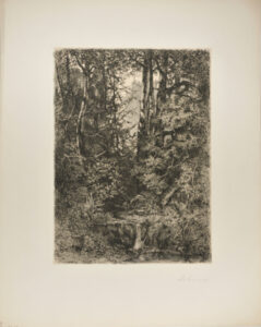 Forest Scene with Stream