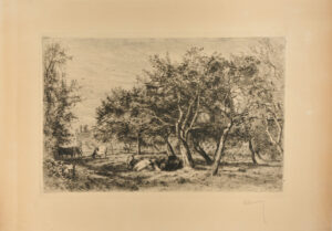 Cows Grazing in Orchard