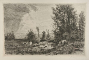 Cattle by a Stream