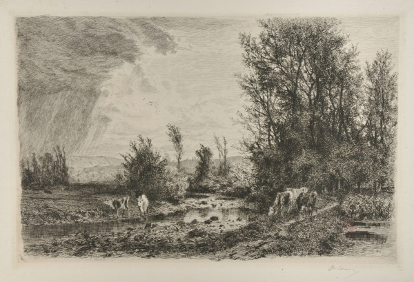 Cattle by a Stream