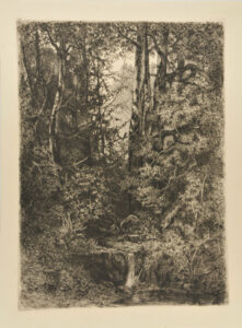 Forest Scene with Stream