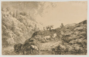 Oxen at the Watering Place