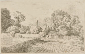 Path Through a Cornfield