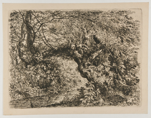 THE OLD WILLOW BY THE STREAM