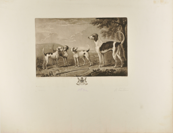 Hounds