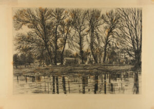 Old English Poplars in Winter