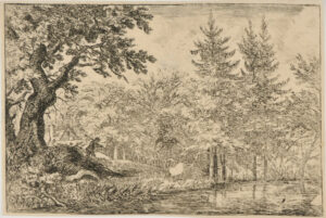 The Fisherman by the Lake