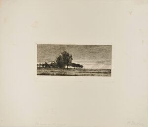 A November Day, Cedar Trees by the Roadside