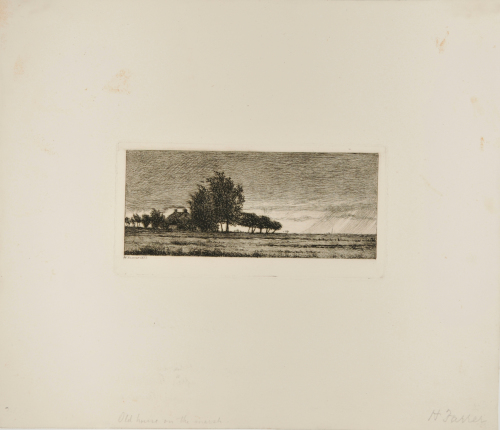 A November Day, Cedar Trees by the Roadside