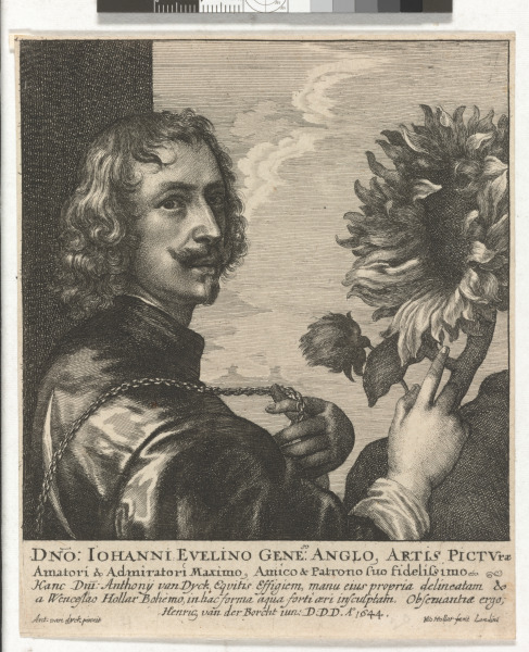SIR ANTHONY VAN DYCK WITH A SUNFLOWER