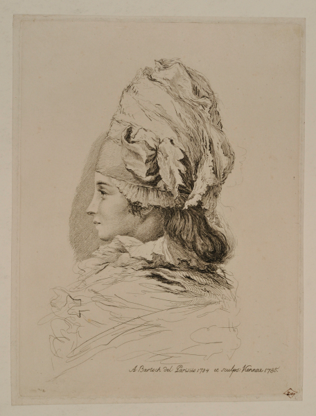 Portrait of Madame Mxxx, Wearing a Boudoir Cap