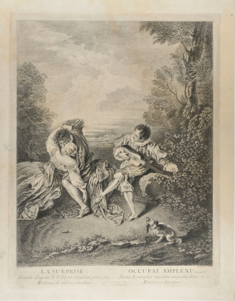 The Surprise - Image 5