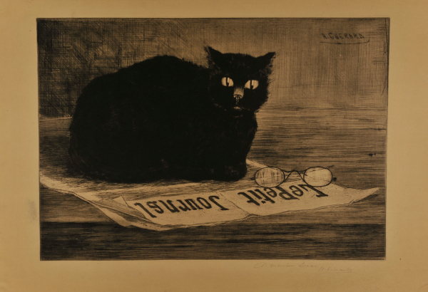 Chat noir sur un journal - Image 2